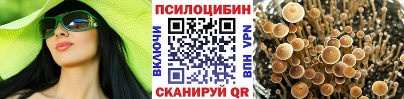 Галлюциногенные грибы Cubensis  Купить  Чернушка 